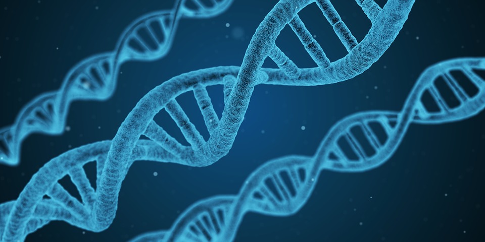 DNA Helix Structure