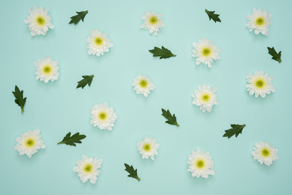 Photo of flowers and leaves arranged in a pattern