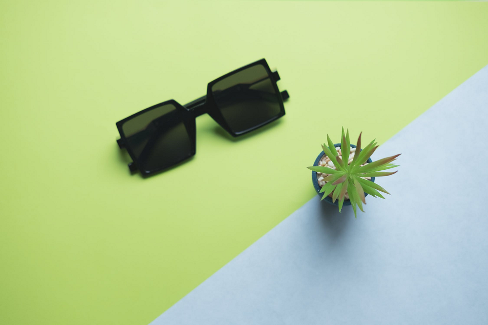 Sunglasses next to a cactus