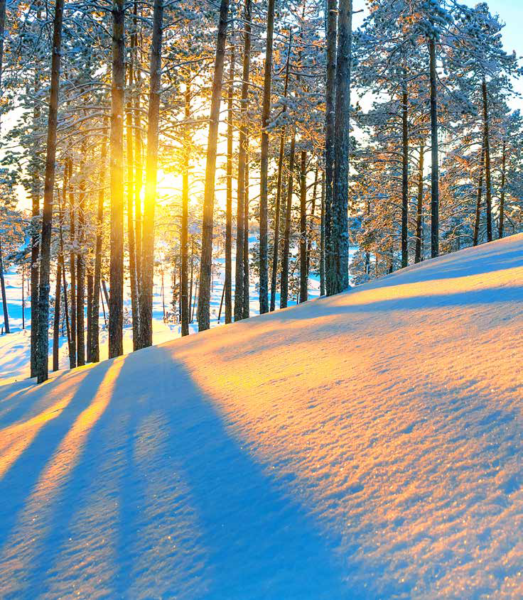 Sunshine On Snow Image